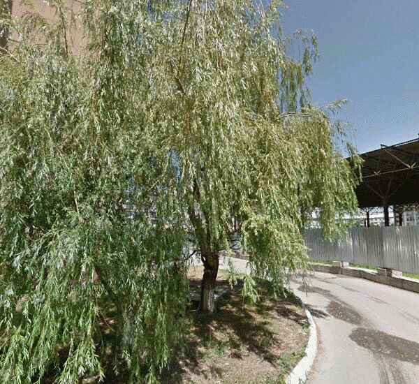 Банкомат Сбербанка России по адресу просп. Северный,  2,  корп. 1