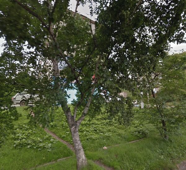 Банкомат банка ВТБ по адресу ул. Астафьева,  д. 17