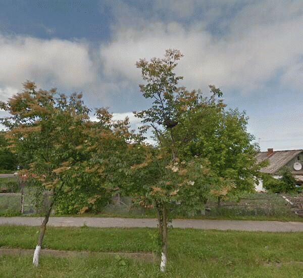 Банкомат Сбербанка России по адресу мкр-н Ливадия,  ул. Новая,  д. 12